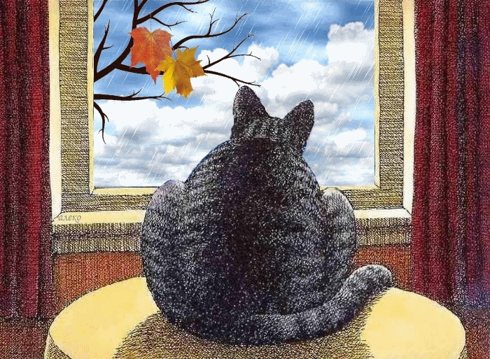 Кот у окна 